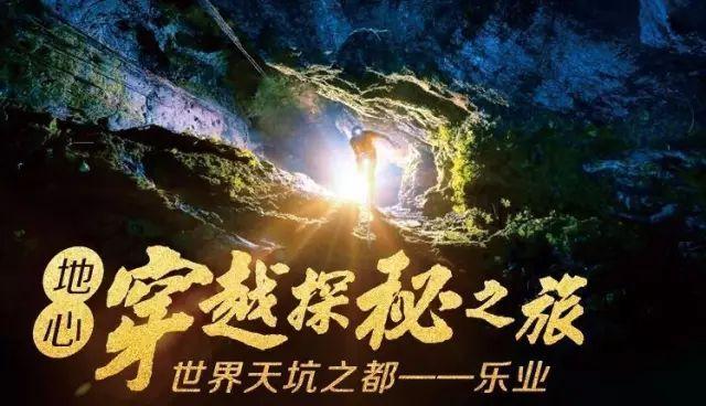 超能动物联盟